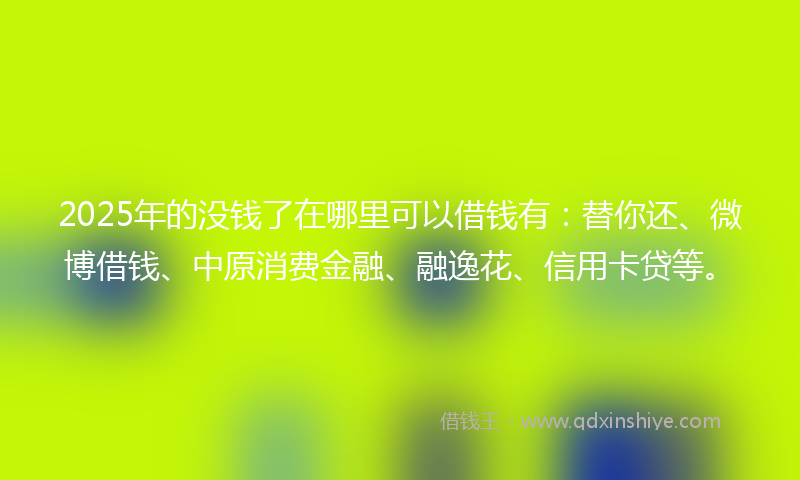 2025年的没钱了在哪里可以借钱有：替你还、微博借钱、中原消费金融、融逸花、信用卡贷等。