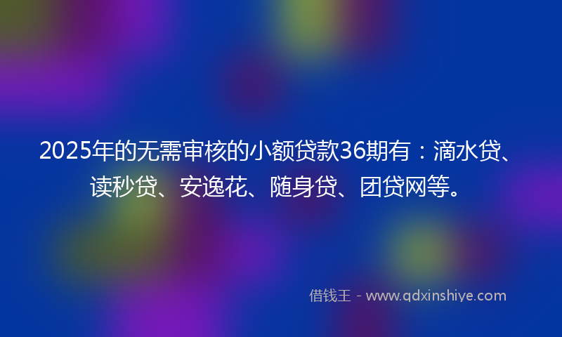 2025年的无需审核的小额贷款36期有：滴水贷、读秒贷、安逸花、随身贷、团贷网等。