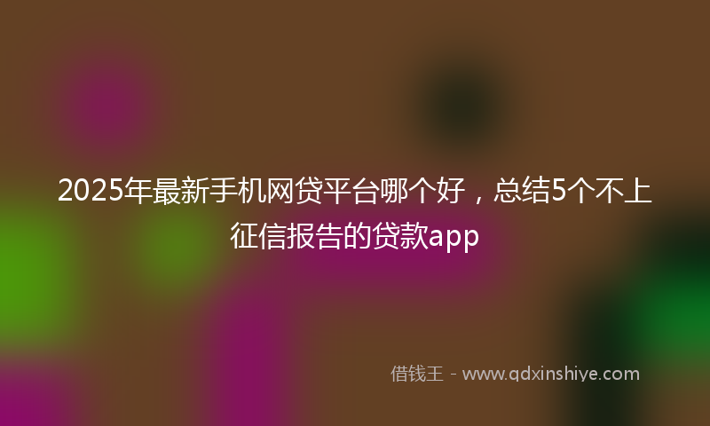 2025年最新手机网贷平台哪个好，总结5个不上征信报告的贷款app