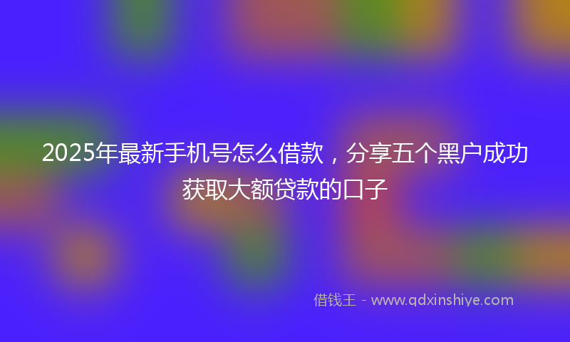 2025年最新手机号怎么借款，分享五个黑户成功获取大额贷款的口子