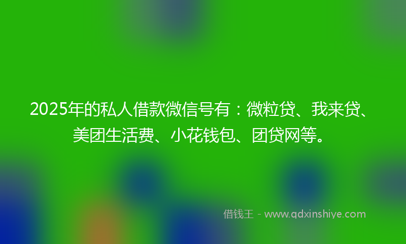 2025年的私人借款微信号有：微粒贷、我来贷、美团生活费、小花钱包、团贷网等。