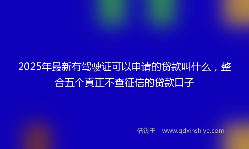 2025年最新有驾驶证可以申请的贷款叫什么，整合五个真正不查征信的贷款口子