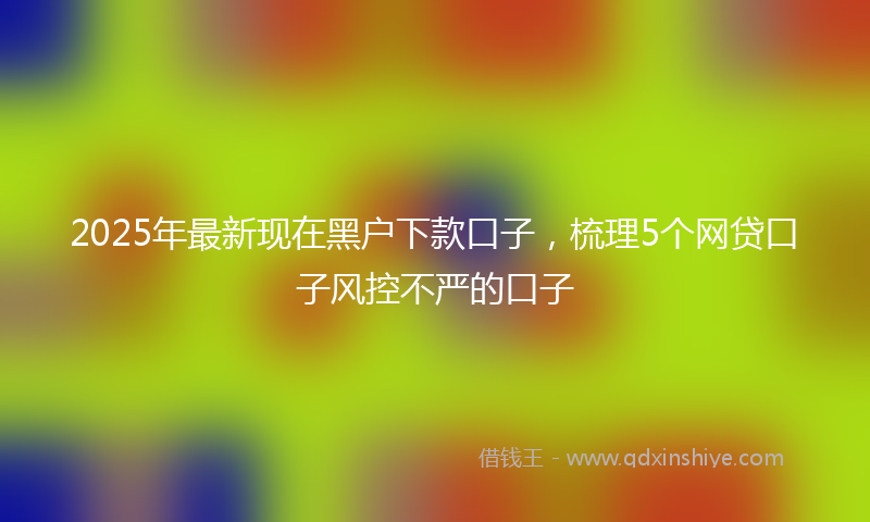 2025年最新现在黑户下款口子，梳理5个网贷口子风控不严的口子