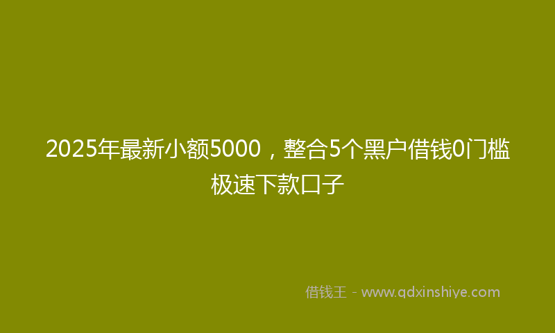 2025年最新小额5000，整合5个黑户借钱0门槛极速下款口子