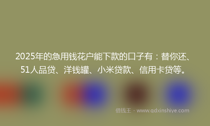 2025年的急用钱花户能下款的口子有：替你还、51人品贷、洋钱罐、小米贷款、信用卡贷等。