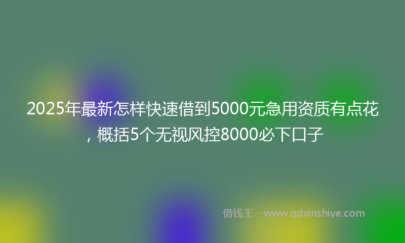 2025年最新怎样快速借到5000元急用资质有点花，概括5个无视风控8000必下口子