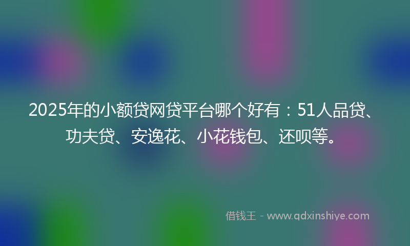 2025年的小额贷网贷平台哪个好有：51人品贷、功夫贷、安逸花、小花钱包、还呗等。