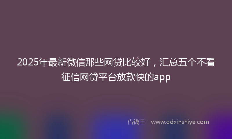 2025年最新微信那些网贷比较好，汇总五个不看征信网贷平台放款快的app