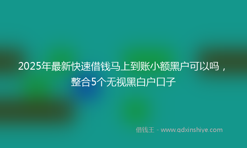 2025年最新快速借钱马上到账小额黑户可以吗，整合5个无视黑白户口子