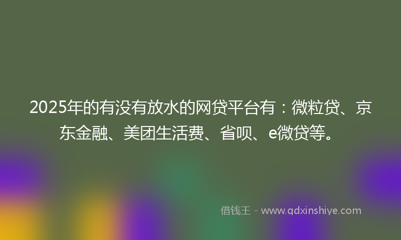 2025年的有没有放水的网贷平台有：微粒贷、京东金融、美团生活费、省呗、e微贷等。