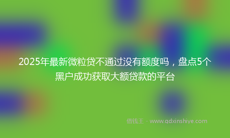2025年最新微粒贷不通过没有额度吗，盘点5个黑户成功获取大额贷款的平台