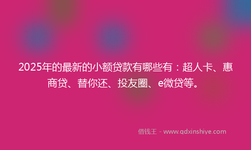 2025年的最新的小额贷款有哪些有：超人卡、惠商贷、替你还、投友圈、e微贷等。