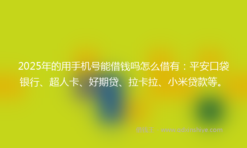 2025年的用手机号能借钱吗怎么借有：平安口袋银行、超人卡、好期贷、拉卡拉、小米贷款等。