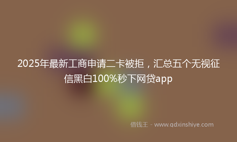2025年最新工商申请二卡被拒，汇总五个无视征信黑白100%秒下网贷app