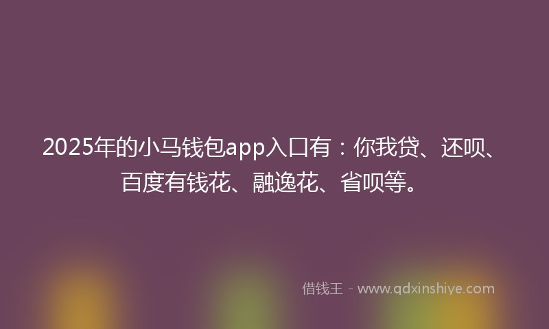 2025年的小马钱包app入口有：你我贷、还呗、百度有钱花、融逸花、省呗等。