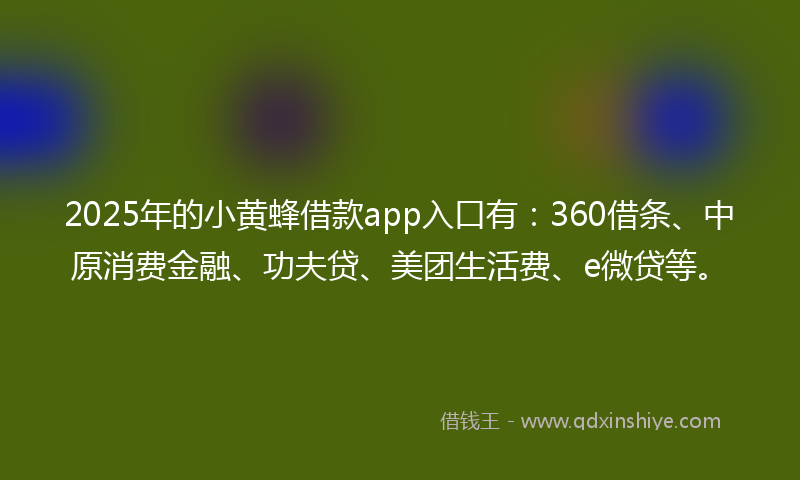 2025年的小黄蜂借款app入口有：360借条、中原消费金融、功夫贷、美团生活费、e微贷等。