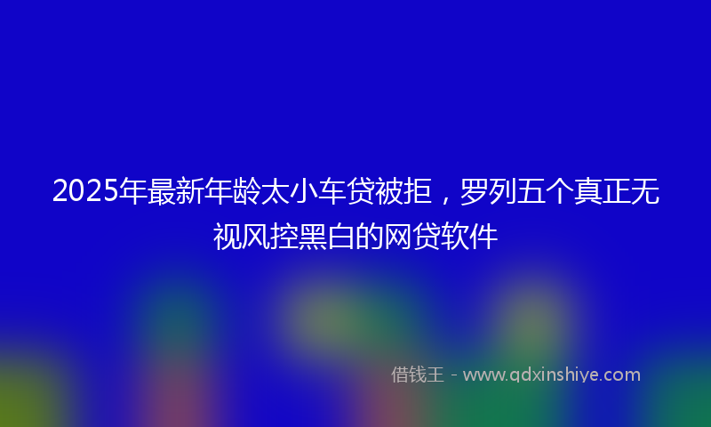 2025年最新年龄太小车贷被拒，罗列五个真正无视风控黑白的网贷软件