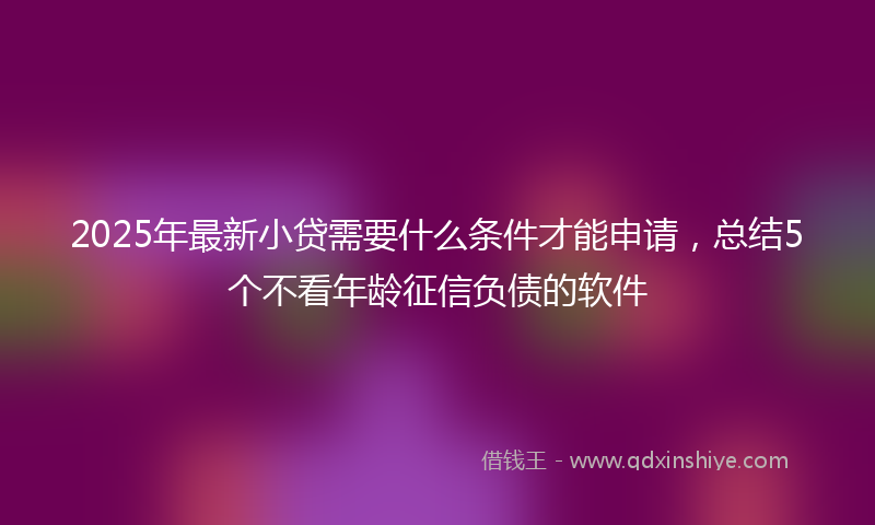 2025年最新小贷需要什么条件才能申请，总结5个不看年龄征信负债的软件