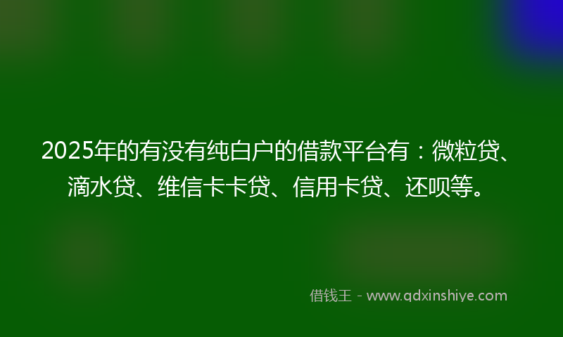 2025年的有没有纯白户的借款平台有：微粒贷、滴水贷、维信卡卡贷、信用卡贷、还呗等。