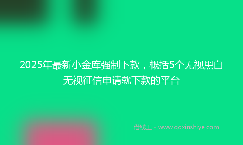 2025年最新小金库强制下款，概括5个无视黑白无视征信申请就下款的平台
