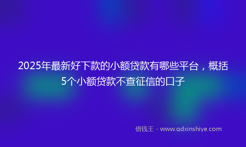 2025年最新好下款的小额贷款有哪些平台，概括5个小额贷款不查征信的口子