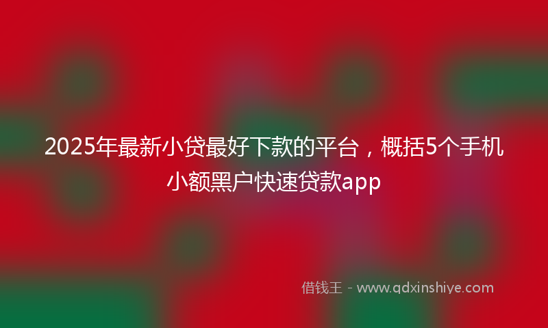 2025年最新小贷最好下款的平台，概括5个手机小额黑户快速贷款app