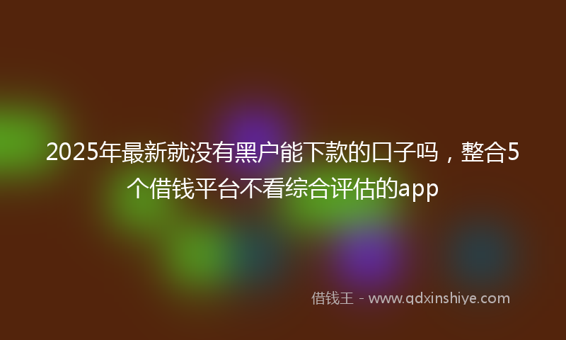 2025年最新就没有黑户能下款的口子吗，整合5个借钱平台不看综合评估的app