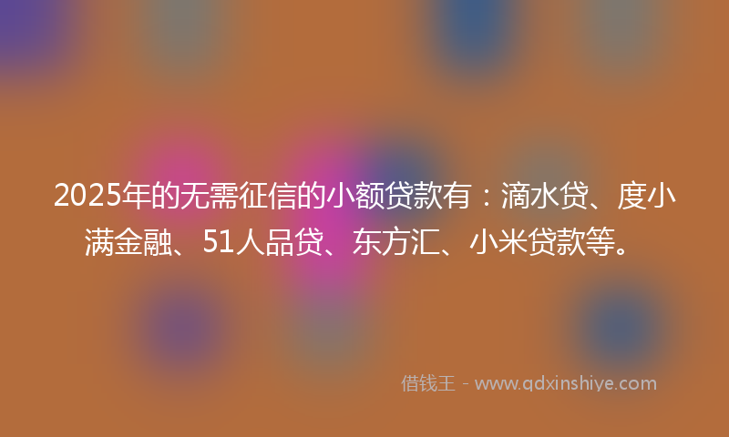 2025年的无需征信的小额贷款有：滴水贷、度小满金融、51人品贷、东方汇、小米贷款等。