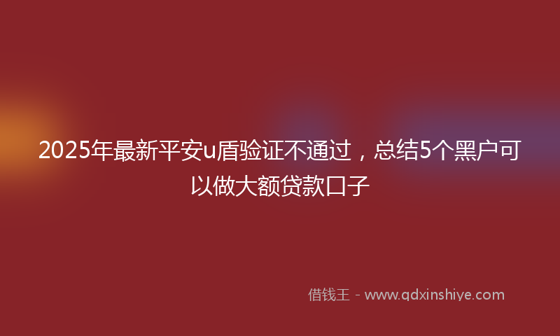 2025年最新平安u盾验证不通过，总结5个黑户可以做大额贷款口子