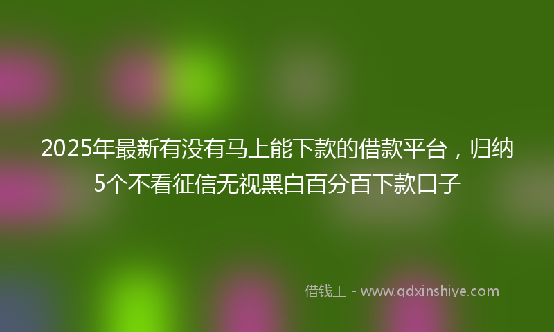 2025年最新有没有马上能下款的借款平台，归纳5个不看征信无视黑白百分百下款口子
