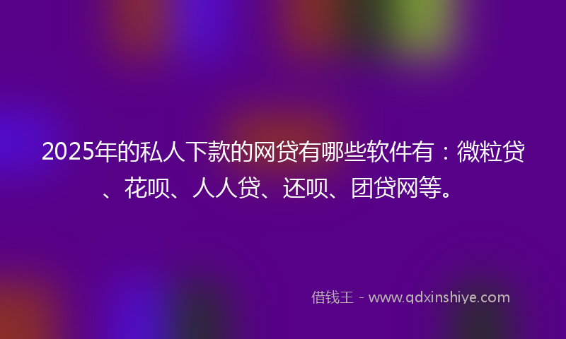 2025年的私人下款的网贷有哪些软件有：微粒贷、花呗、人人贷、还呗、团贷网等。