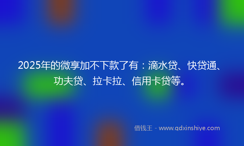 2025年的微享加不下款了有：滴水贷、快贷通、功夫贷、拉卡拉、信用卡贷等。