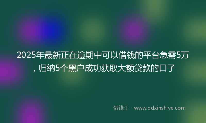 2025年最新正在逾期中可以借钱的平台急需5万，归纳5个黑户成功获取大额贷款的口子