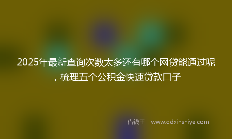 2025年最新查询次数太多还有哪个网贷能通过呢，梳理五个公积金快速贷款口子