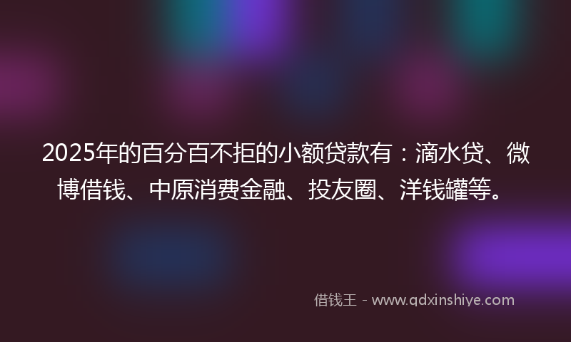 2025年的百分百不拒的小额贷款有：滴水贷、微博借钱、中原消费金融、投友圈、洋钱罐等。