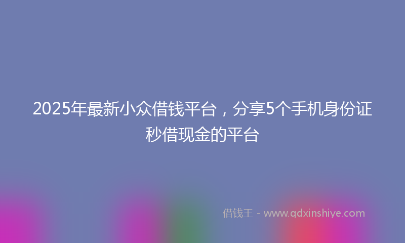 2025年最新小众借钱平台，分享5个手机身份证秒借现金的平台