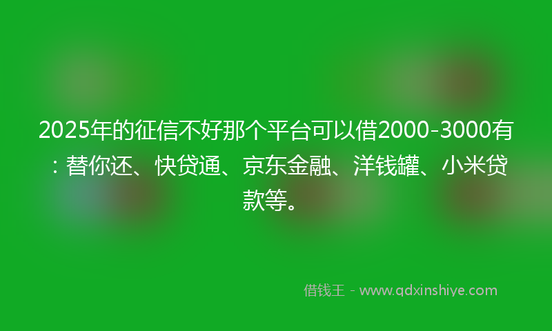 2025年的征信不好那个平台可以借2000-3000有：替你还、快贷通、京东金融、洋钱罐、小米贷款等。