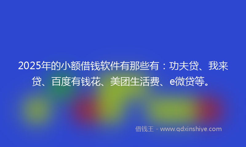 2025年的小额借钱软件有那些有：功夫贷、我来贷、百度有钱花、美团生活费、e微贷等。