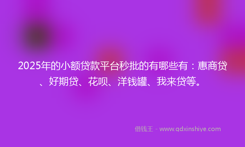 2025年的小额贷款平台秒批的有哪些有：惠商贷、好期贷、花呗、洋钱罐、我来贷等。