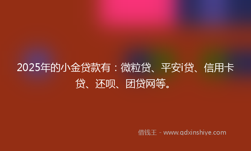 2025年的小金贷款有：微粒贷、平安i贷、信用卡贷、还呗、团贷网等。