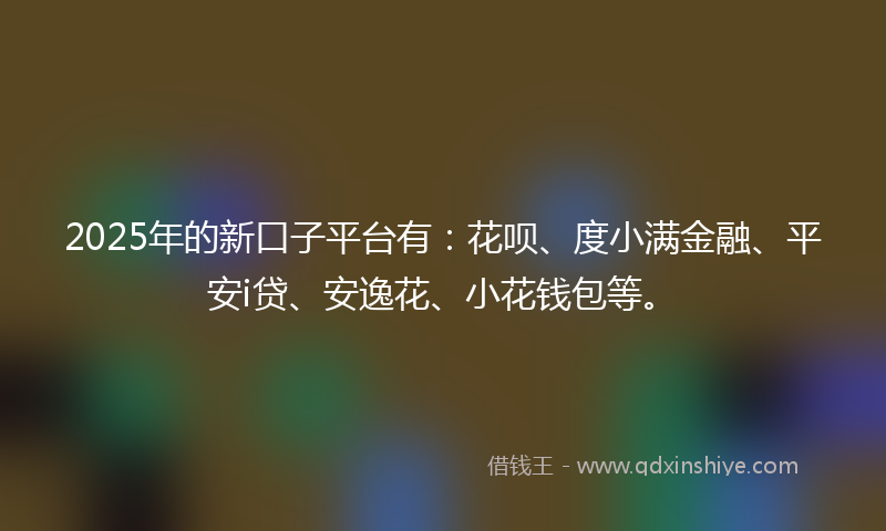 2025年的新口子平台有：花呗、度小满金融、平安i贷、安逸花、小花钱包等。