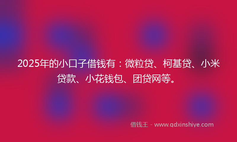 2025年的小口子借钱有：微粒贷、柯基贷、小米贷款、小花钱包、团贷网等。