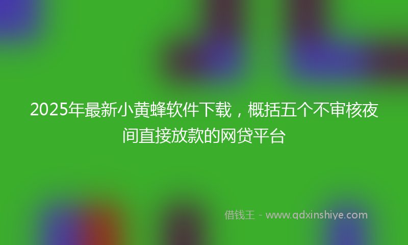 2025年最新小黄蜂软件下载，概括五个不审核夜间直接放款的网贷平台