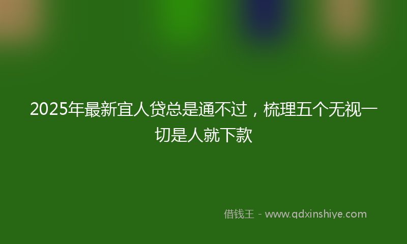 2025年最新宜人贷总是通不过，梳理五个无视一切是人就下款