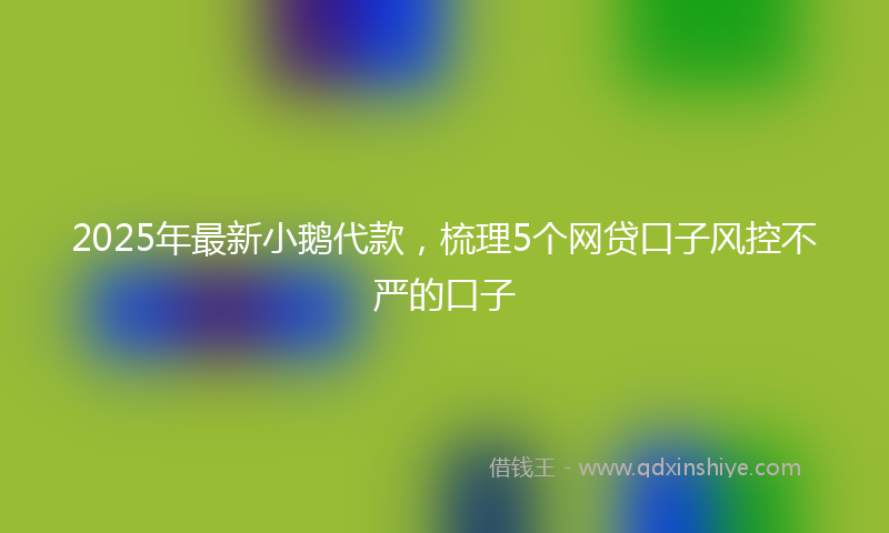 2025年最新小鹅代款，梳理5个网贷口子风控不严的口子