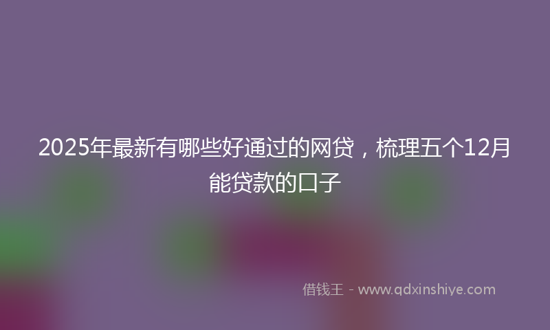 2025年最新有哪些好通过的网贷，梳理五个12月能贷款的口子
