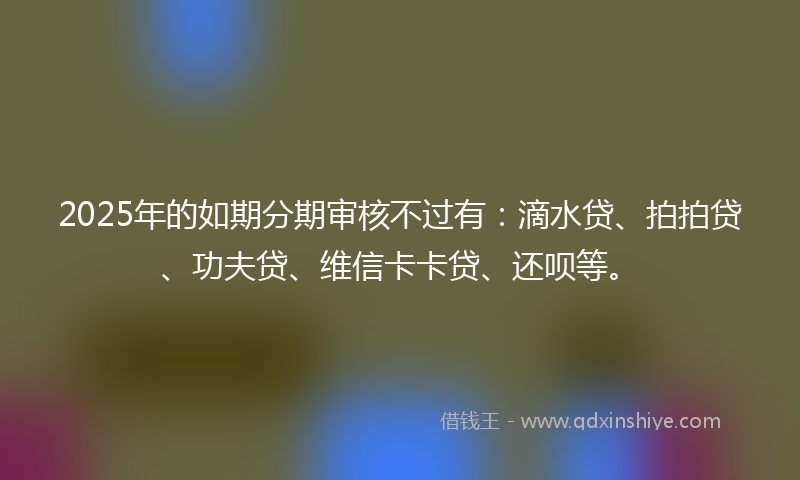 2025年的如期分期审核不过有：滴水贷、拍拍贷、功夫贷、维信卡卡贷、还呗等。