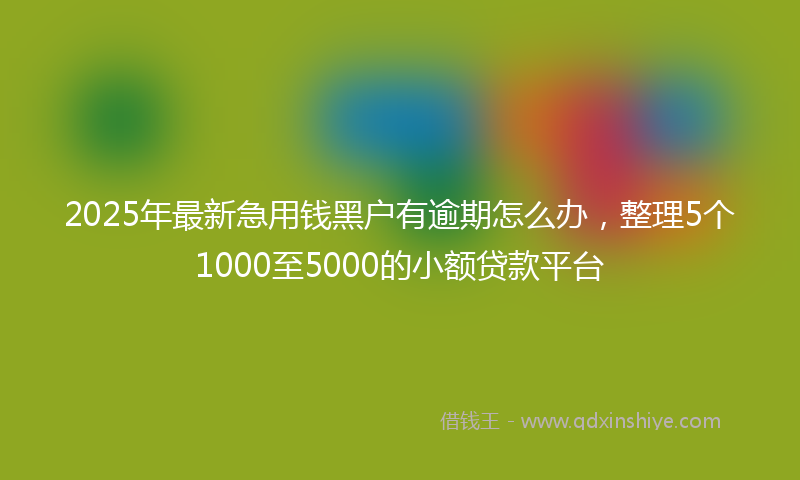 2025年最新急用钱黑户有逾期怎么办，整理5个1000至5000的小额贷款平台