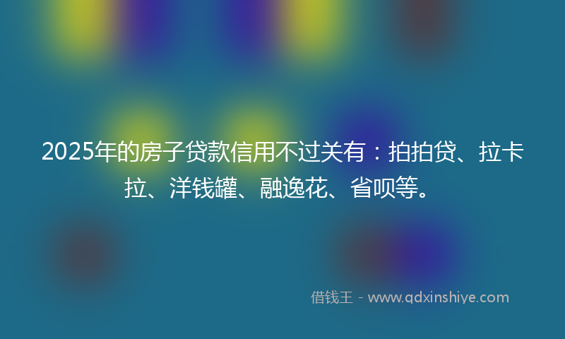 2025年的房子贷款信用不过关有：拍拍贷、拉卡拉、洋钱罐、融逸花、省呗等。