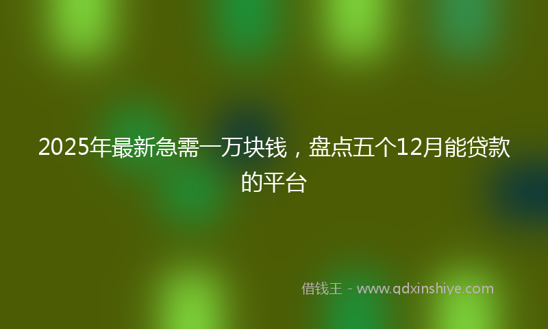 2025年最新急需一万块钱，盘点五个12月能贷款的平台
